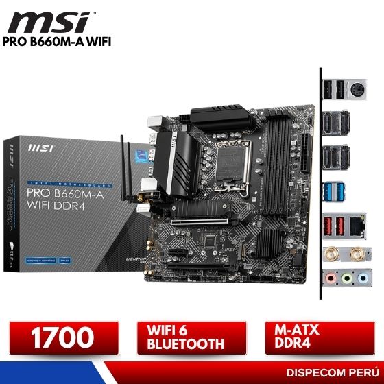 MSIPROB660M