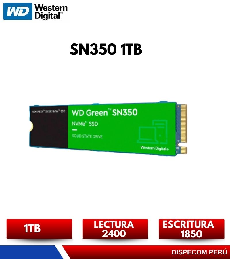 WDS100T2G0C