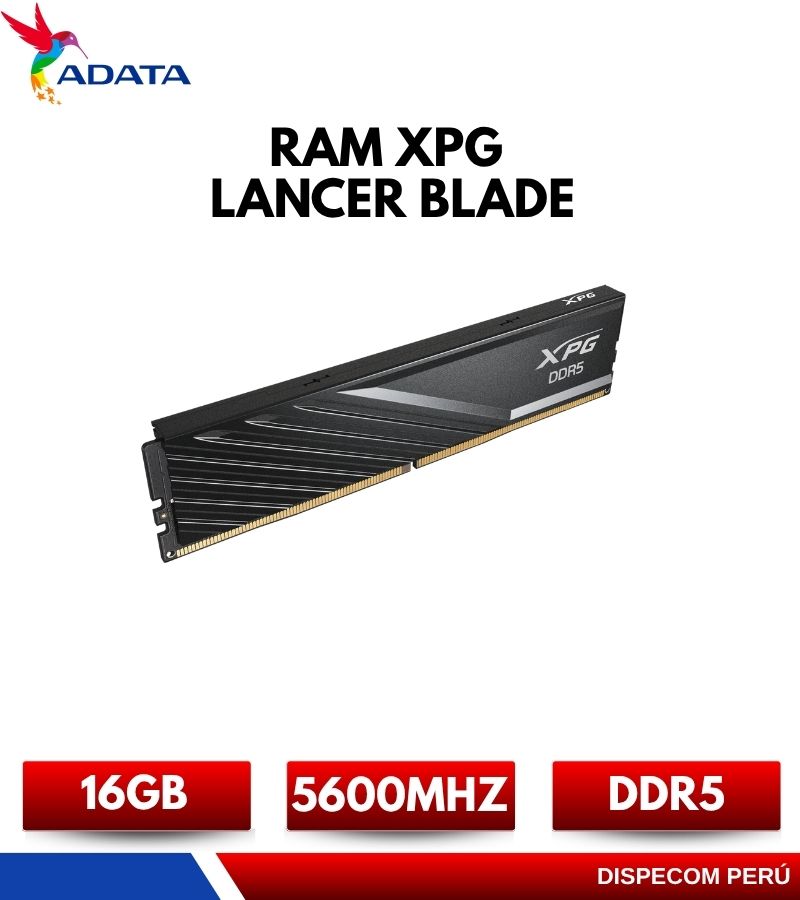 AX5U5600C4616G-SLABB