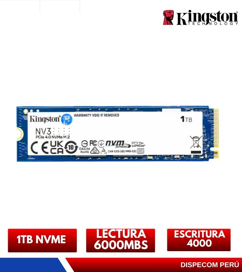 KINGSTONNV31tb