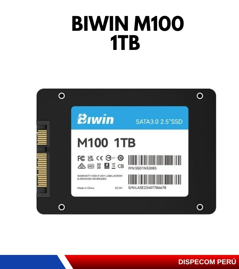 Biwin1TB