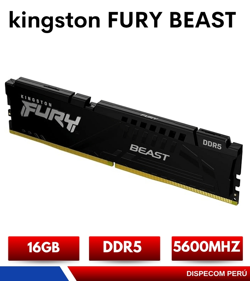 kgs5600
